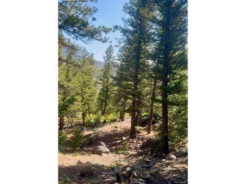 0 Alvarado Rd, Georgetown, CO, 80444 | Card Image