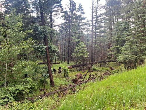 TBD County Road 406, La Veta, CO, 81055 | Card Image