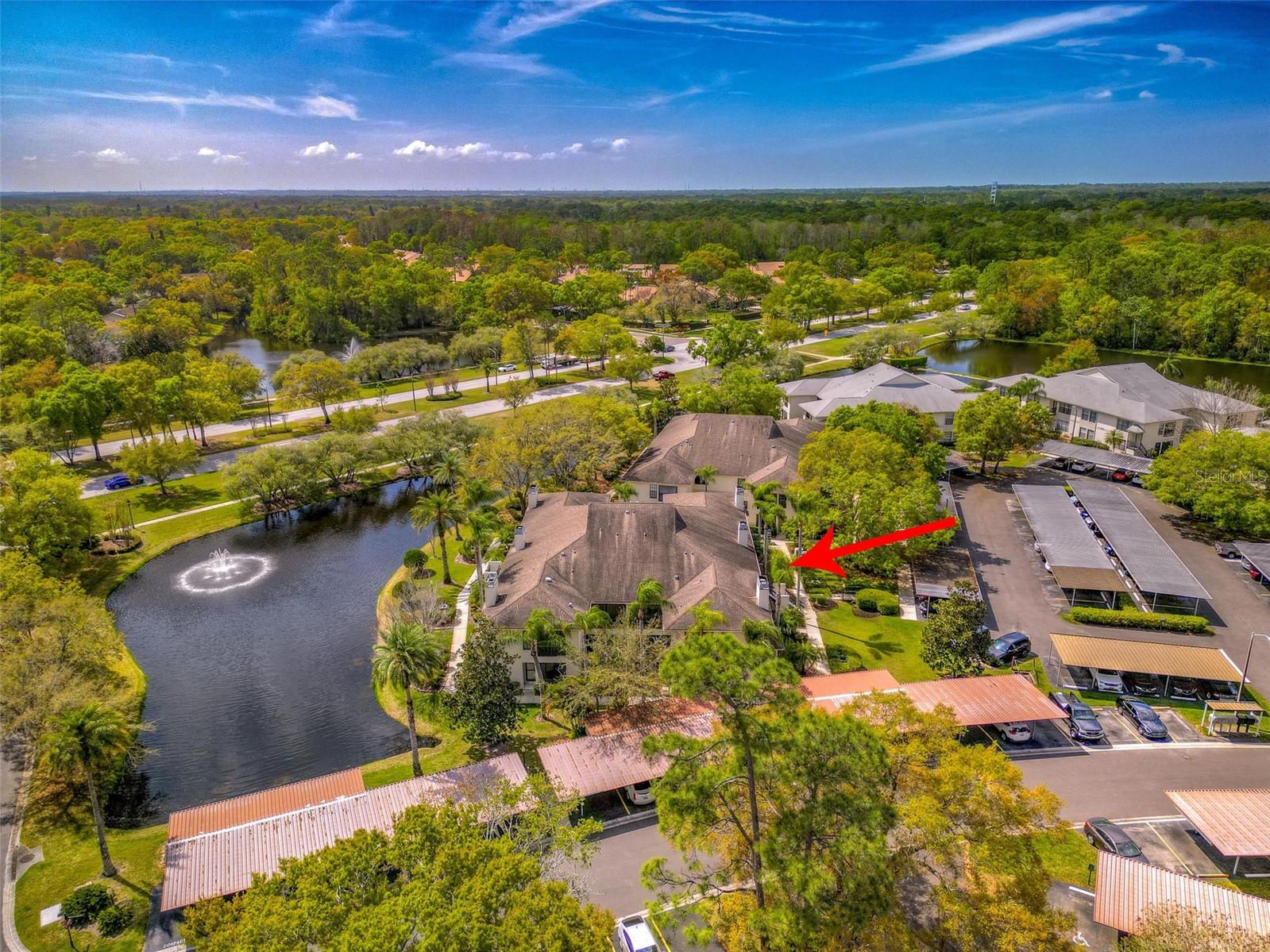 1202 3350 Mermoor Drive, For Sale in Palm Harbor Zoocasa