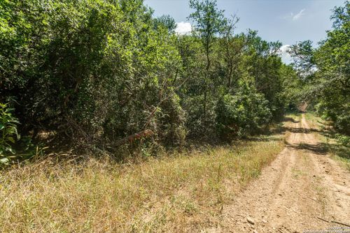 LOT 650 Kaukonahua Ln, Bastrop, TX, 78602 | Card Image
