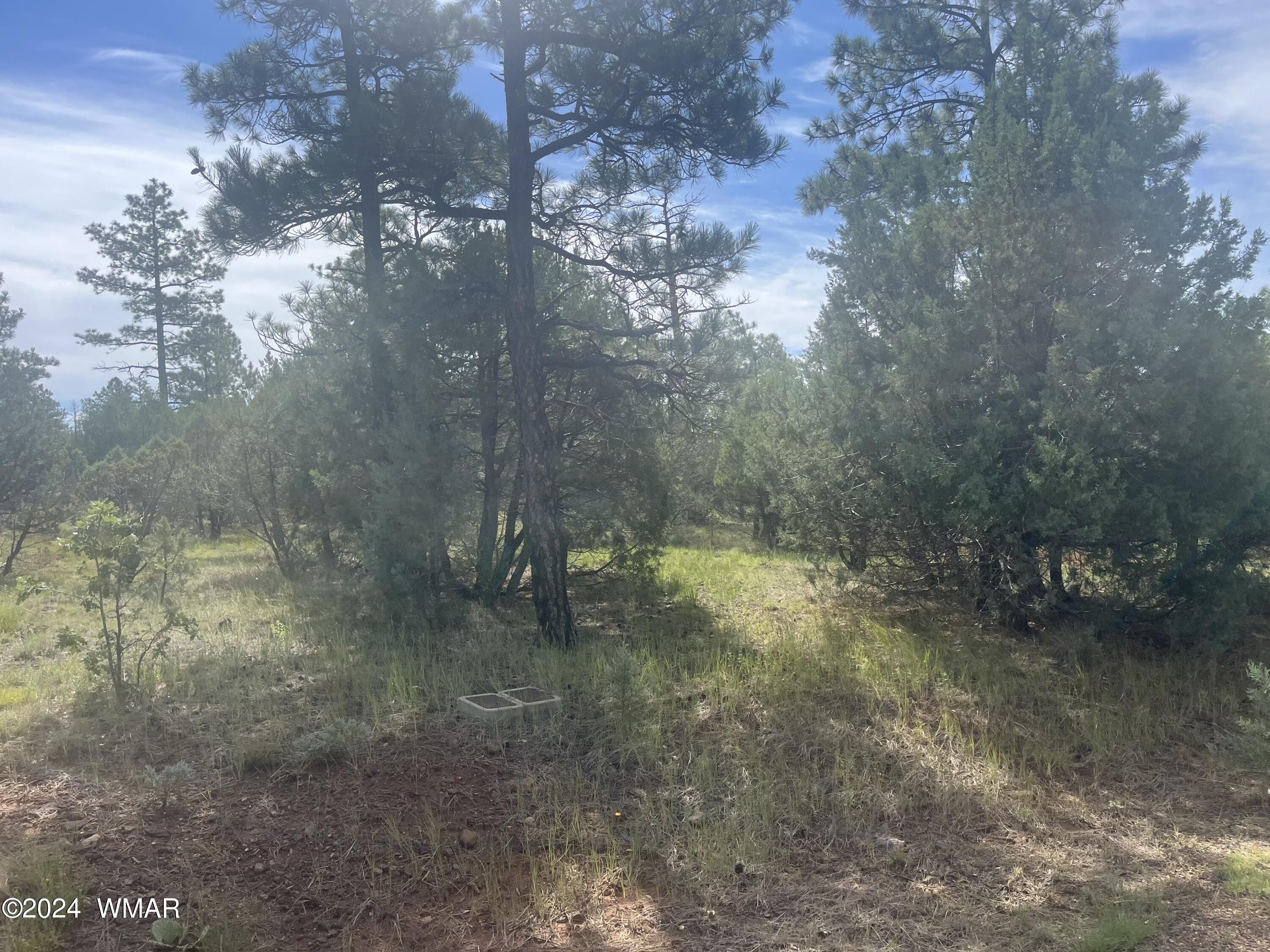 Land in Lakeside 3