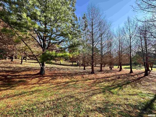 000 County Road 1025 E, Rinard, IL, 62878 | Card Image