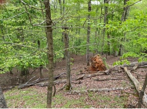 319 Zenith Trl, Ellijay, GA, 30540-6803 | Card Image