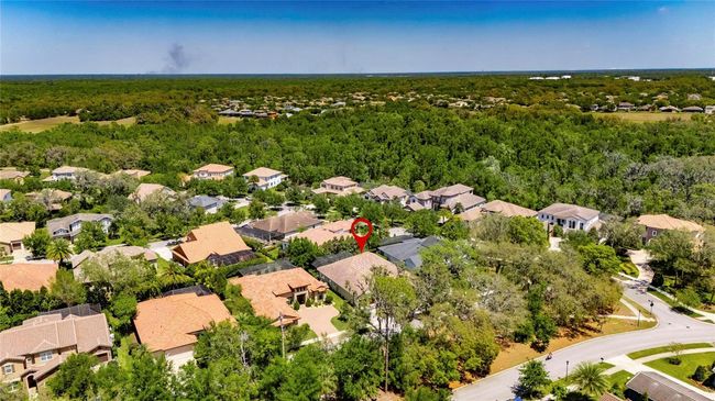5316 Candler View Dr, House other with 4 bedrooms, 5 bathrooms and null parking in Lithia FL | Image 76