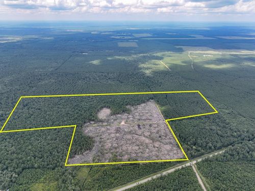 0 Old Honey Island Rd, Kountze, TX, 77625 | Card Image