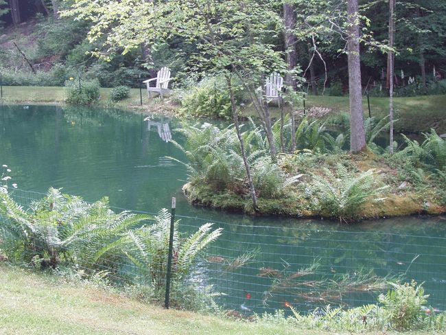 299 Campbell Rd, House other with 0 bedrooms, 0 bathrooms and null parking in Sandgate VT | Image 7