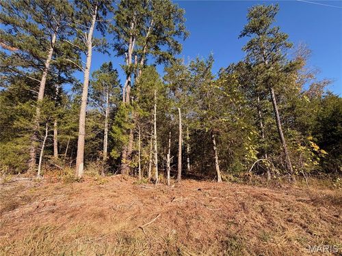 Lot A Highway 32, Ste Genevieve, MO, 63640 | Card Image