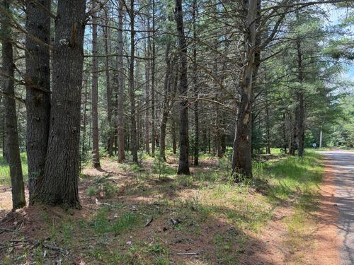 Lot on Melody Dr E, Saint Germain, WI, 54558 | Card Image