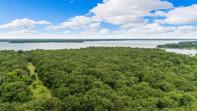 Water view with a forest | Image 33