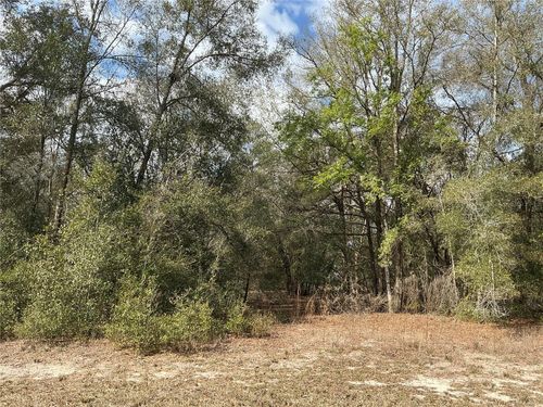 9299 Goodstone Dr, Webster, FL, 33597-9437 | Card Image