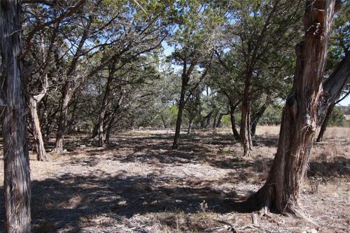 150 Patricks Way, Dripping Springs, TX, 78620-3888 | Card Image