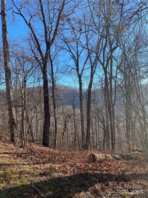 000 Wash Freeman Rd, Hendersonville, NC, 28792 | Card Image