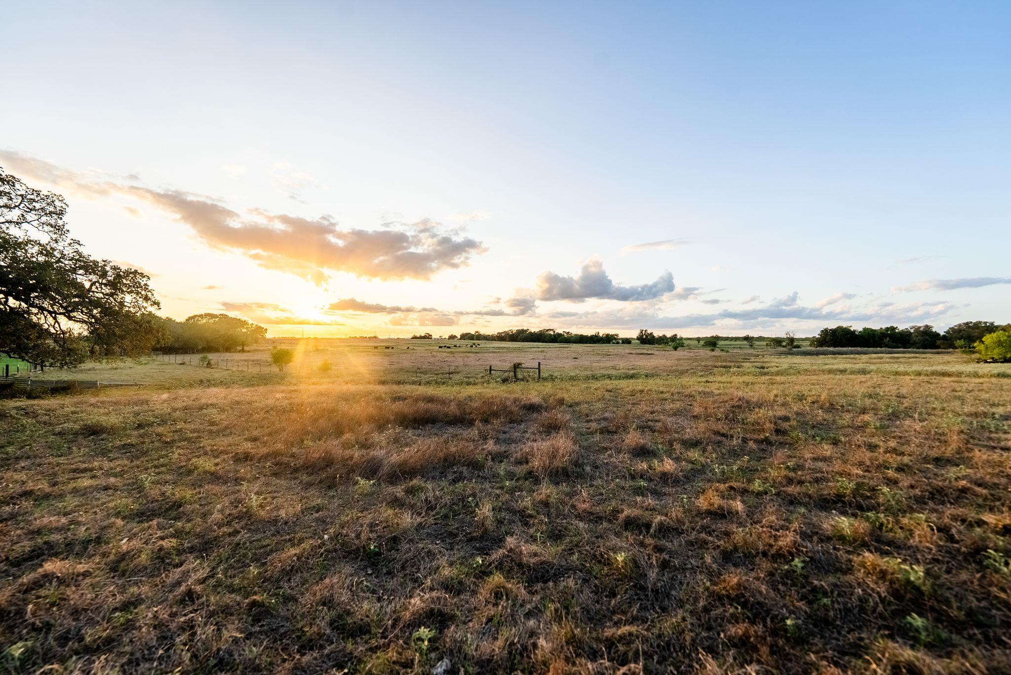 Land in Lockhart 5