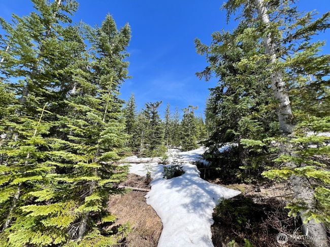 0 xxxx Spirit Lake Hwy, Home with 0 bedrooms, 0 bathrooms and null parking in Stevenson WA | Image 29