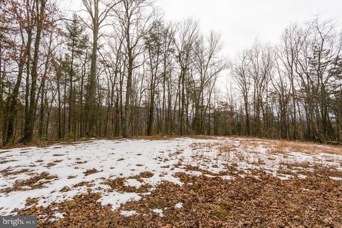 Lot 44 Rainbow Ridge Road, BERGTON, VA, 22811 | Card Image