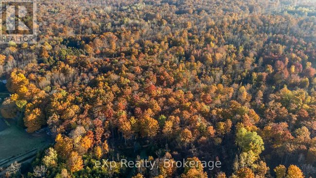 PTLT 17 Grey Road 17, Home with 0 bedrooms, 0 bathrooms and null parking in Georgian Bluffs ON | Image 9