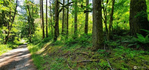 8290 Mt Baker Hwy, Deming, WA, 98244 | Card Image