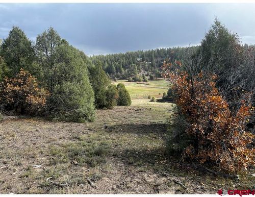 64 Bradley Pl, Pagosa Springs, CO, 81147 | Card Image