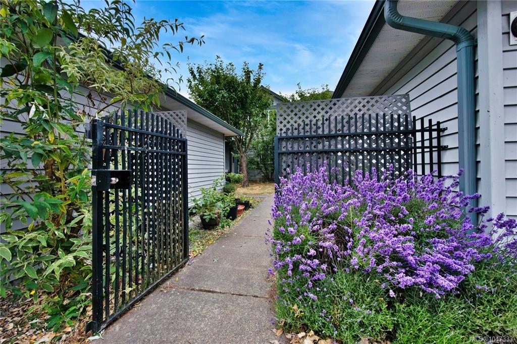 Residential in Nanaimo 3