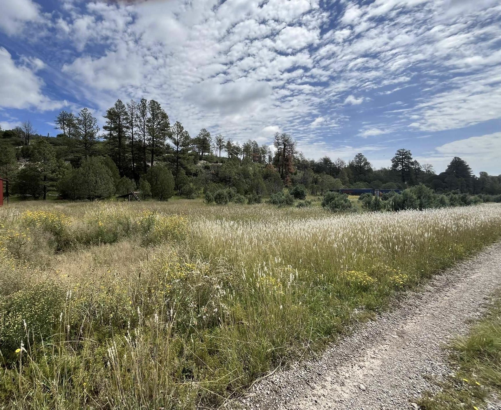 Land in Timberon 5