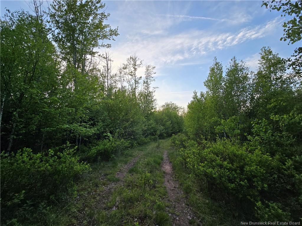Land in Head Of Millstream 3