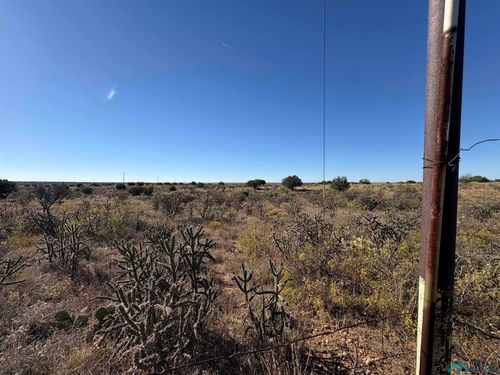 9 Quail, Lake Sumner, NM, 88119 | Card Image