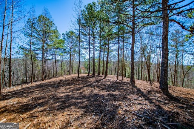 0 County Road 269, Home with 0 bedrooms, 0 bathrooms and null parking in Wedowee AL | Image 10