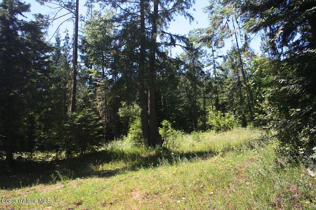 18 Majestic Mountain Rd, Home with 0 bedrooms, 0 bathrooms and null parking in Clark Fork ID | Image 37