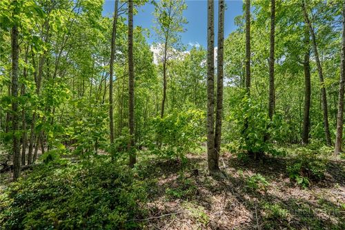 0 Beaver Dam Rd, Elk Park, NC, 28622 | Card Image