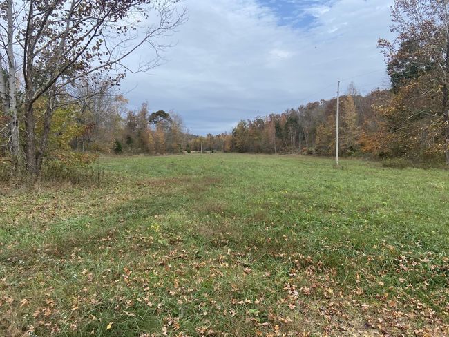 0 Mc Cord Hollow Rd, Home with 0 bedrooms, 0 bathrooms and null parking in Hohenwald TN | Image 13