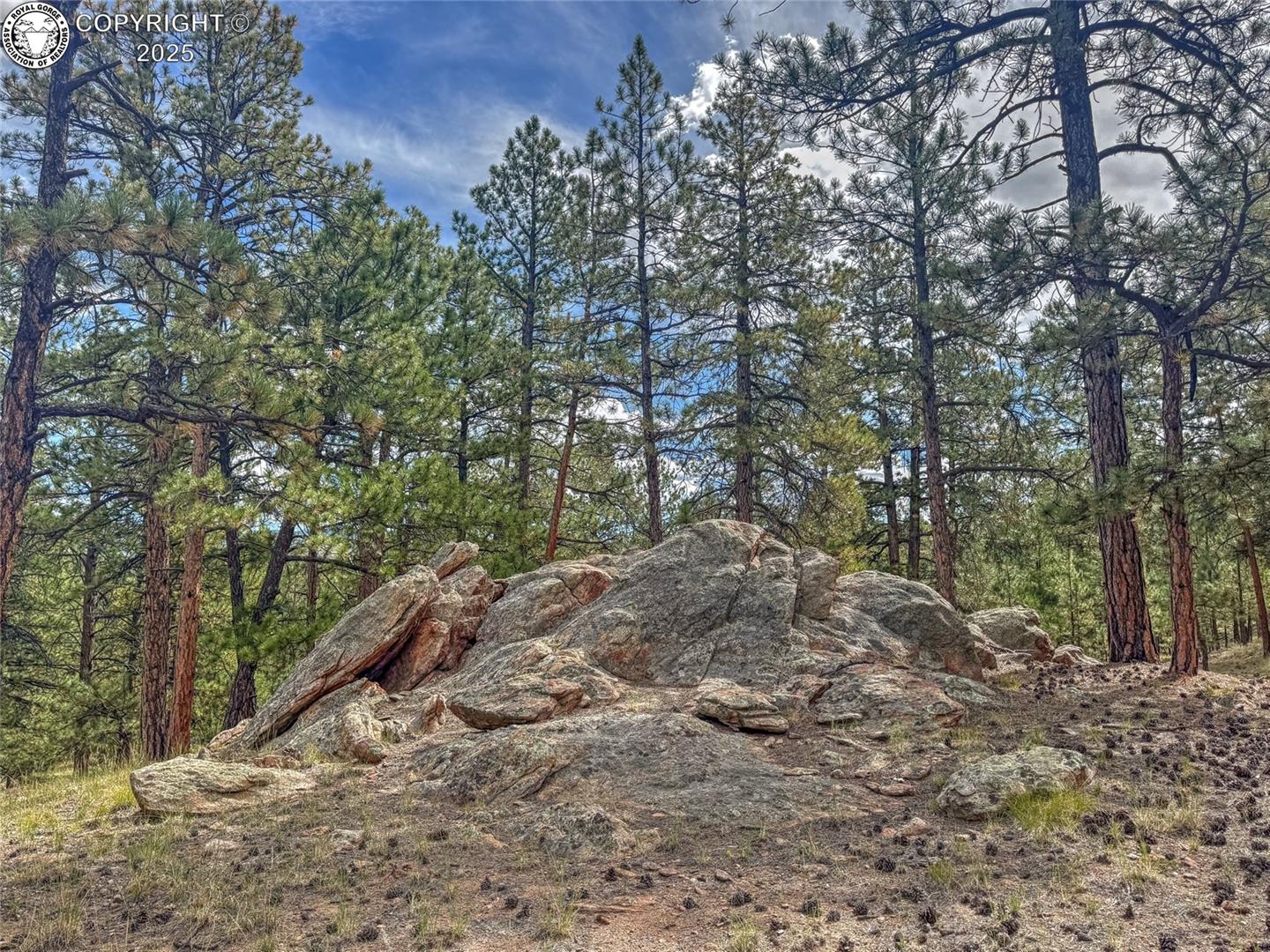Residential in Westcliffe 2