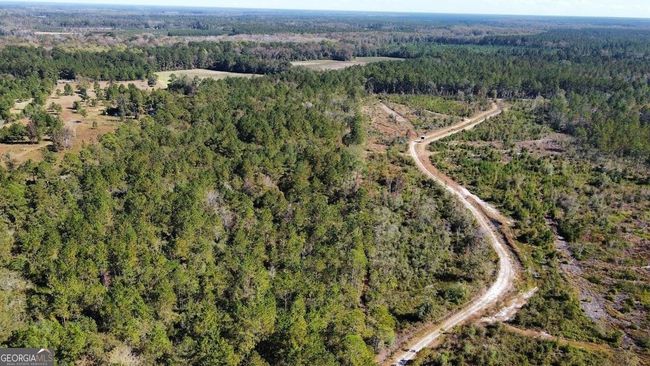 268-ACRES - 99 Old Happy Ln, Home with 0 bedrooms, 0 bathrooms and null parking in Brooklet GA | Image 24
