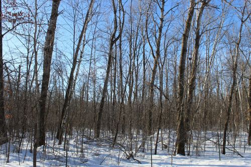 91xx 200th St, Milaca, MN, 56353 | Card Image