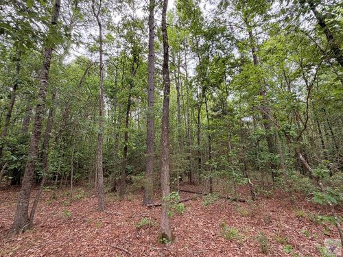 TBD County Road 1580a, Avinger, TX, 75630 | Card Image