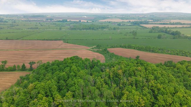 LT24 4 Th Concession N, Home with 0 bedrooms, 0 bathrooms and null parking in Municipality Of Meaford ON | Image 22