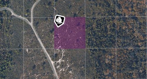 TBD County Road, Oak Hill, FL, 32759 | Card Image