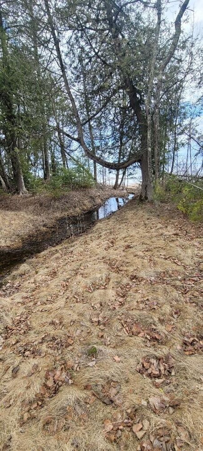 Lt0 E State Highway M35, Home with 0 bedrooms, 0 bathrooms and null parking in INGALLSTON MI | Image 25