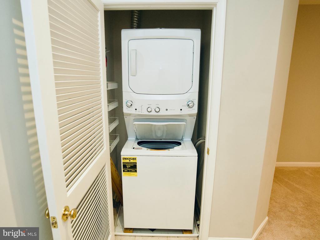 Residential Lease in FAIRFAX 3