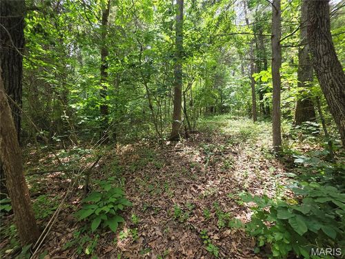 0 S Lake Shore Drive, Hillsboro, MO, 63050 | Card Image