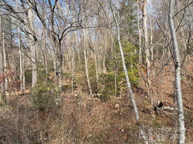 Land in Old Fort 2