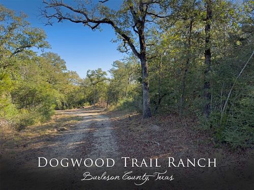 10429 County Road 313, Caldwell, TX, 77836 | Card Image