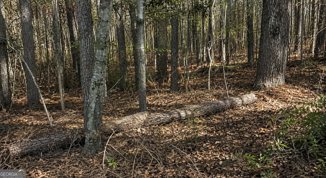 Land in Conyers 4