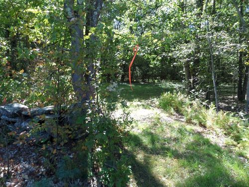 0 Stage Rd, Williamsburg, MA, 01096 | Card Image