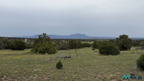 93-22 Running Bear Cir, Quemado, NM, 87829 | Card Image