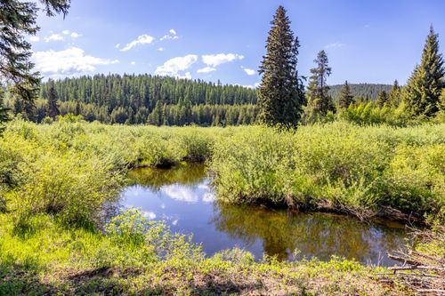 NHN Fortine Creek Rd, Trego, MT, 59934 | Card Image