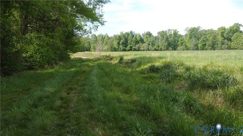 151 Acres Namozine Road, Amelia Courthouse, VA, 23002 | Card Image