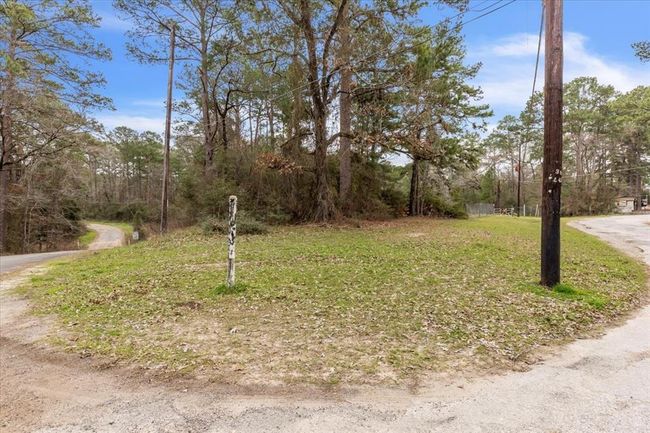 0 Trinity Cove Dr, Home with 0 bedrooms, 0 bathrooms and null parking in Trinity TX | Image 6