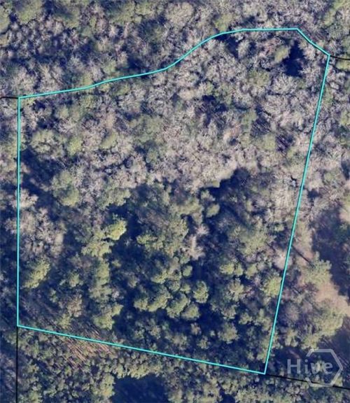 0 Honey Dew Lane, Brooklet, GA, 30415 | Card Image