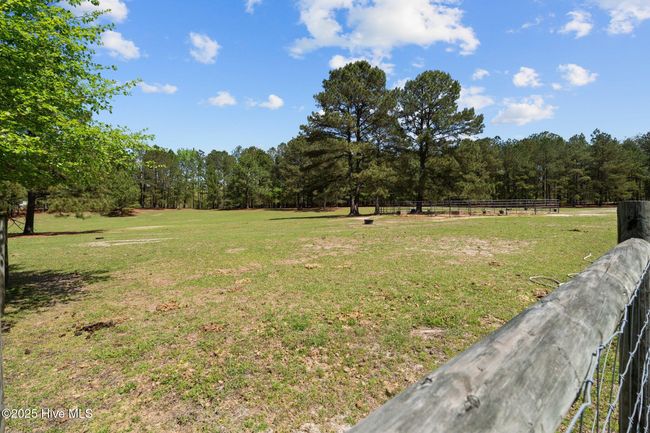 Pasture | Image 10