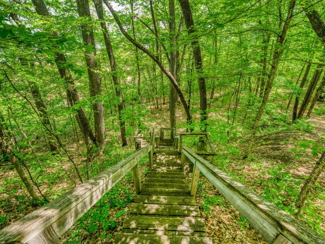 Stairs to the lake | Image 61